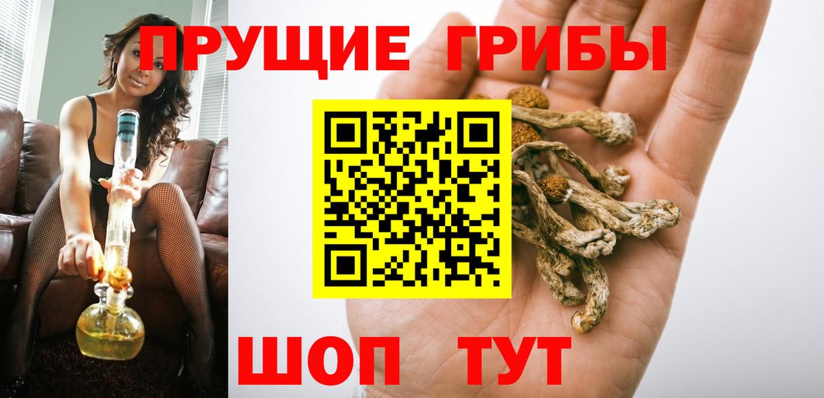 Осинники  Псилоцибиновые грибы прущие грибы  Вход с VPN 